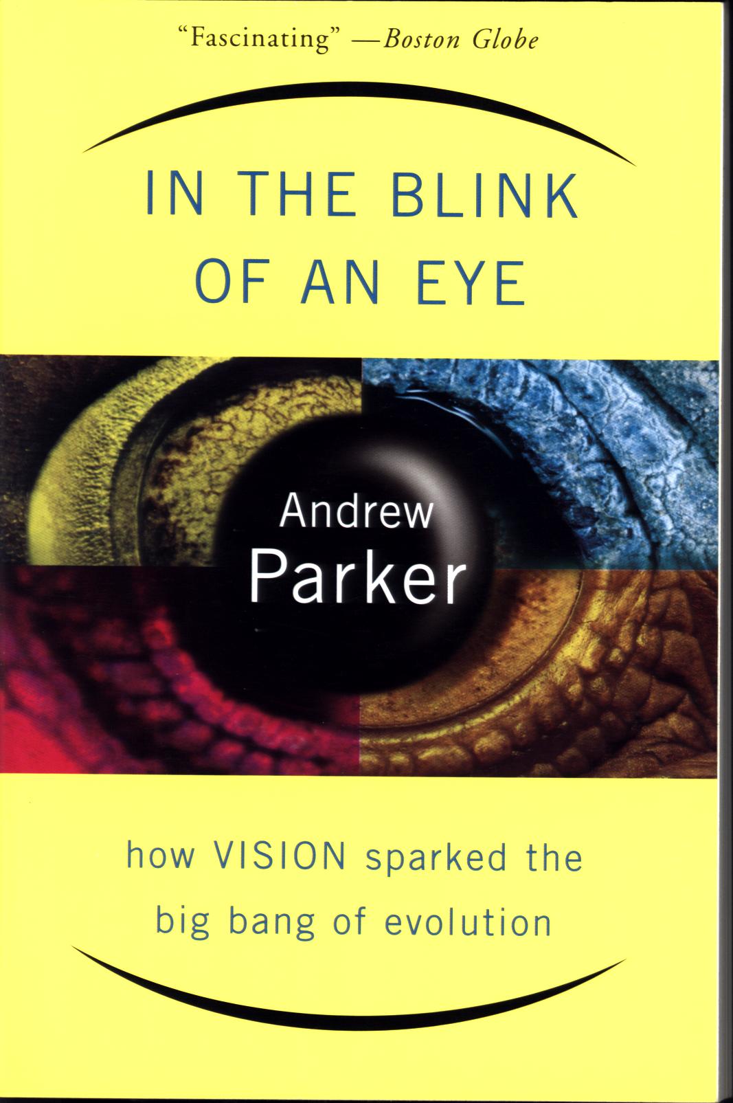 IN THE BLINK OF AN EYE: how vision sparked the big bang of evolution.
